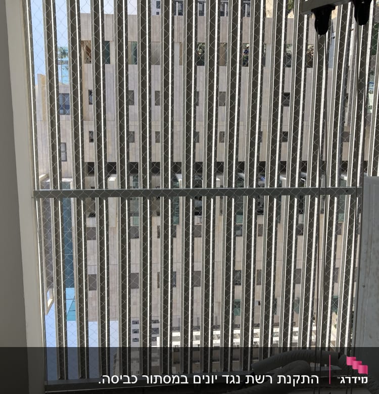 רשת מתכת על חלון למניעת כניסת יונים